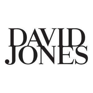 David Jones Bag