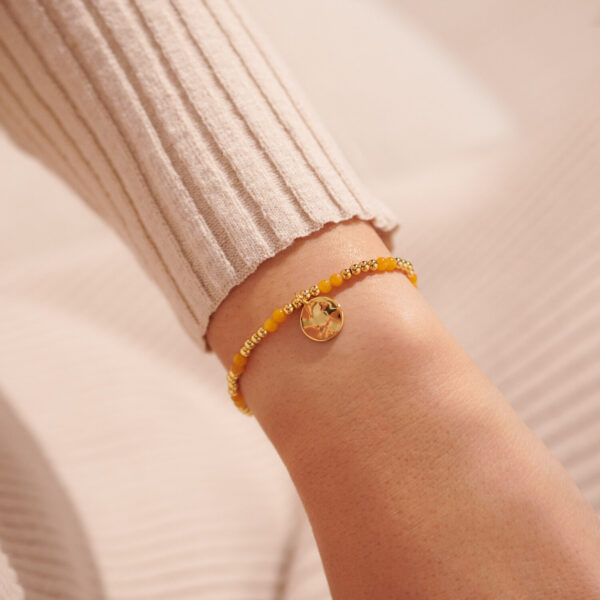 Joma sales birthstone bracelet
